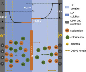 Capacitive deionization with carbon moss electrode