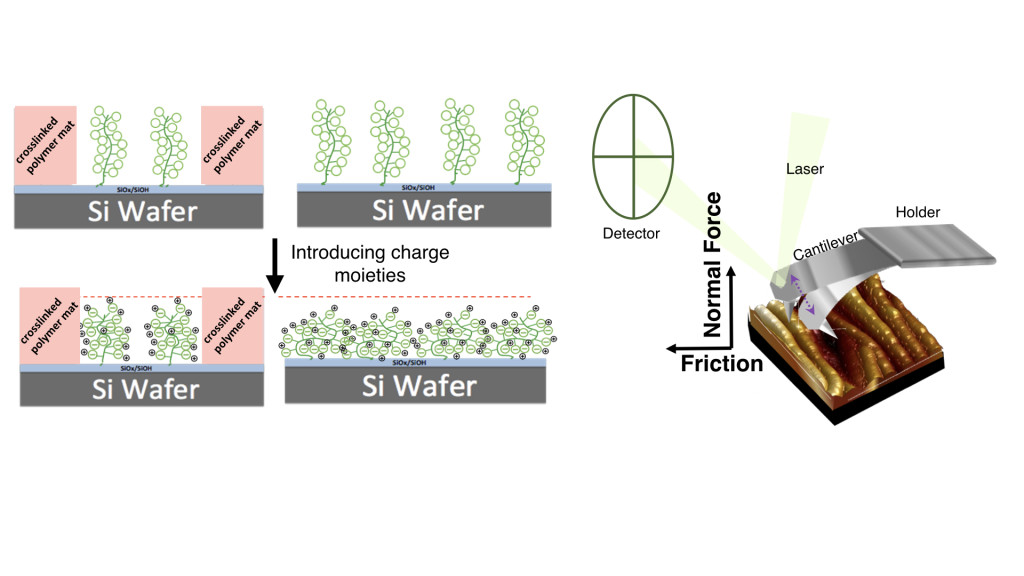 Surface force atomic foce microscopy of confined and non-confined polymer electrolyte brushes
