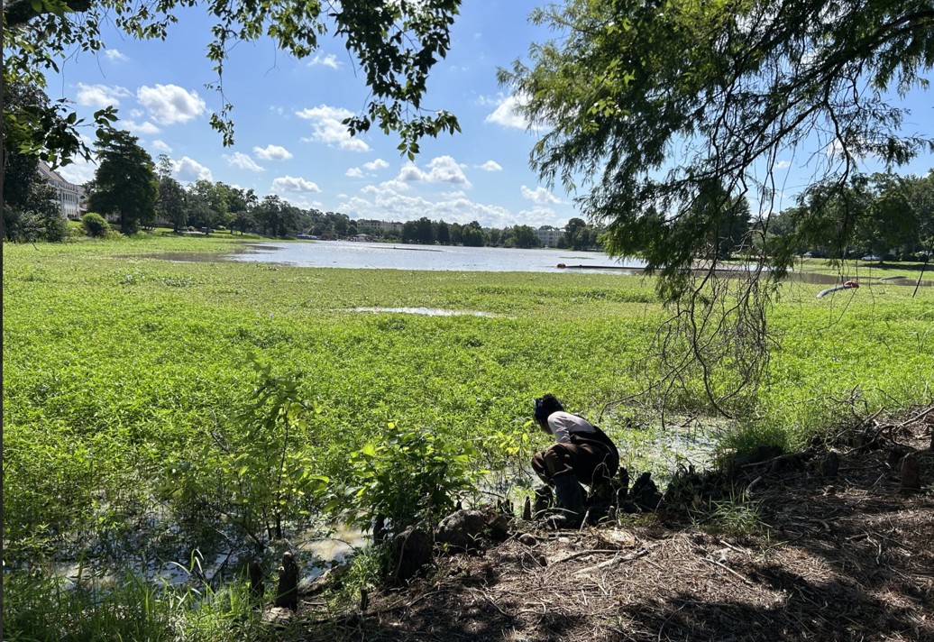 jalayne sampling in LSU lake