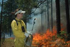 Heather Passmore working in the field