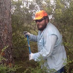 Clay coring a tree