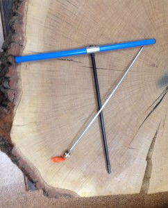 Oak tree that has been cut across the center to create a circular cross-section to display the tree rings with a measurement device (increment borer) on top of it