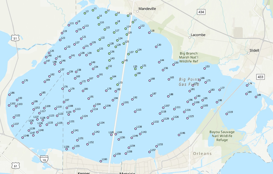 map of lake P with 160 station locations