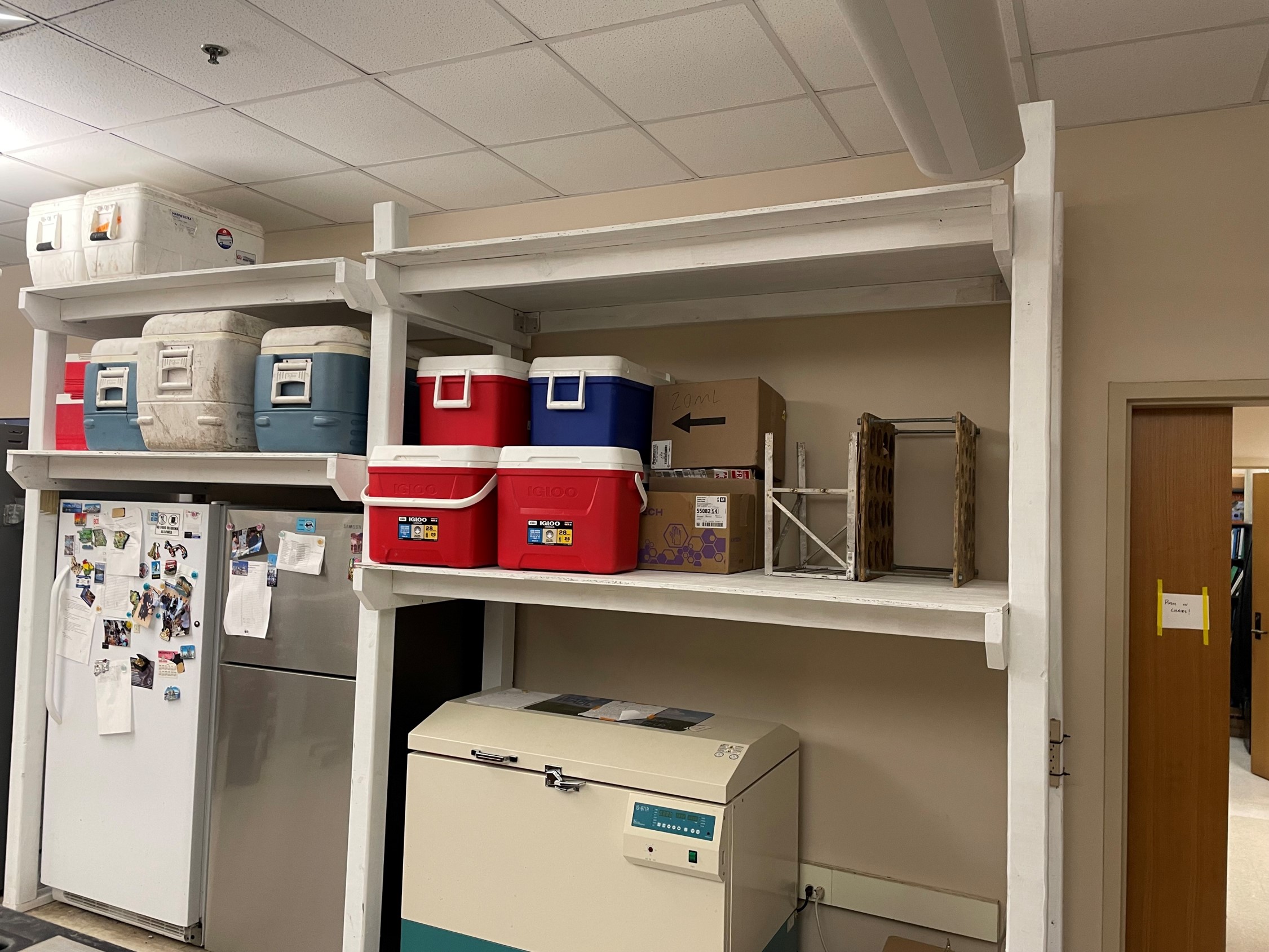 shelves in the lab