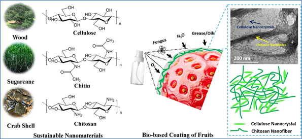 Bio-based coatings