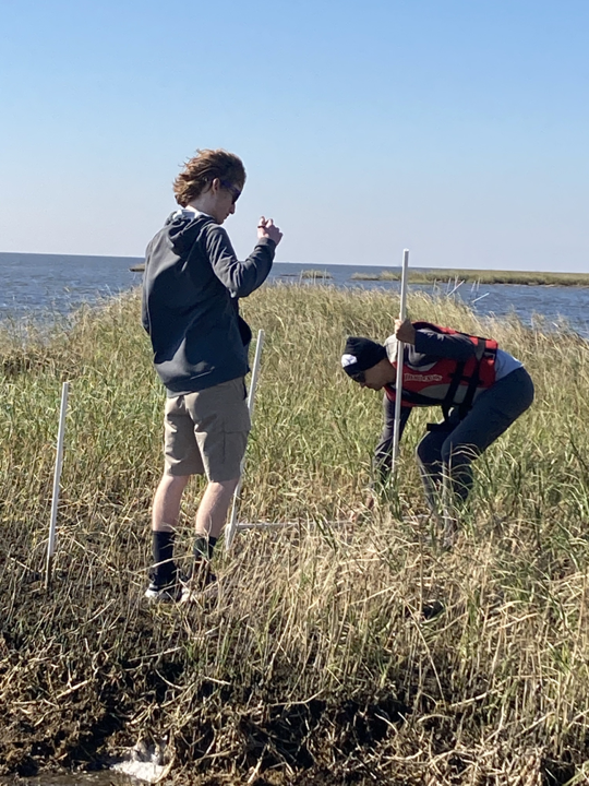 James and Yadav measuring marsh erosion