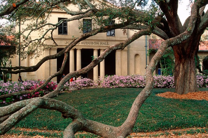 Audobon Hall viewed through live oak tree