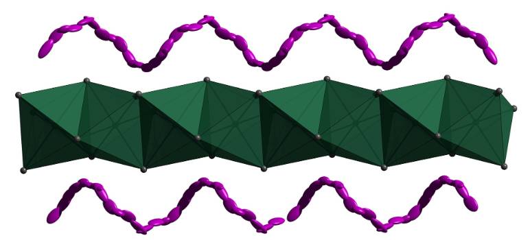 graphical abstract