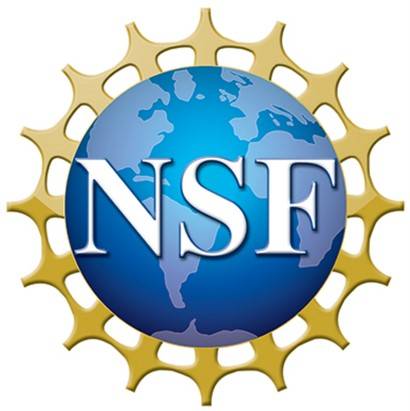 We received the NSF CAREER Award!