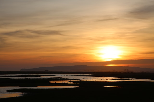 Sunset over marshland