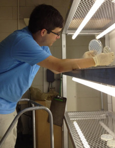 Photo of Michael Sonnier in the lab looking at plates