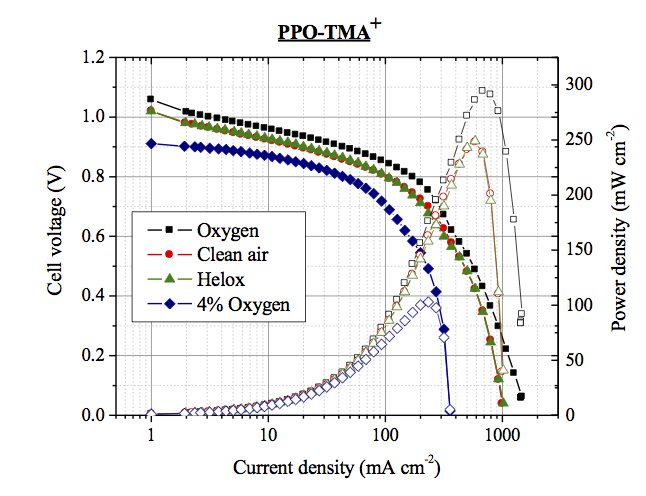 Polarization curve of anion exchange membrane fuel cells