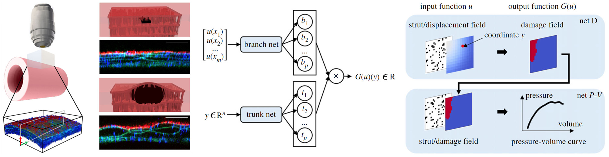 DeepONet for aortic dissection