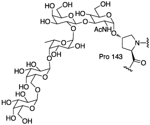 Potential Structure of Skp1 (proline hydroxylation and subsequent glycosylation