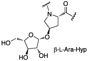 Chemical structure of β-L-Ara-Hyp