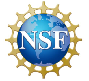 nsf logo