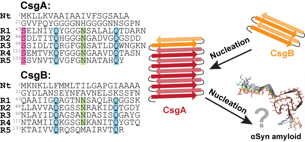 fig2