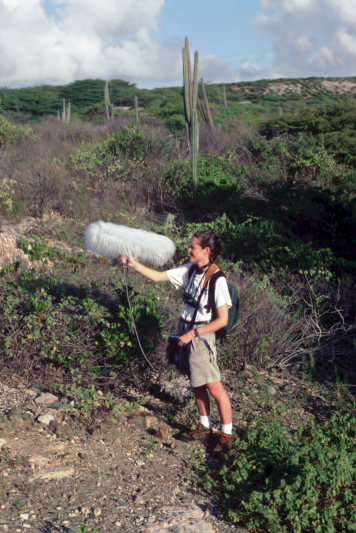 Jessica making field recordings of parakeets on Aruba.