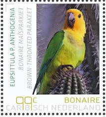 Bonairean postage stamp featuring a parakeet.