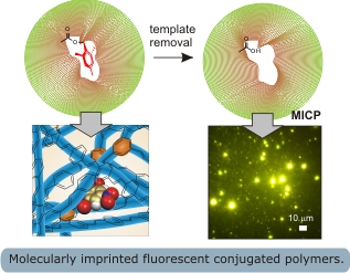 image of molecularly imprinted fluorescent conjugated polymers