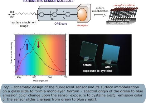 schematic design of the fluorescent sensor and it's surface immobilization on a glass slide to form a monolayer. Also image of spectral origin of the green to blue emission color change upon the sensor exposure to cysteine; emission color of the sensor slide changes from green to blue.