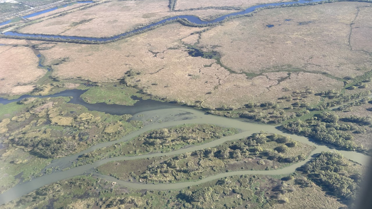 swamp picture from boat