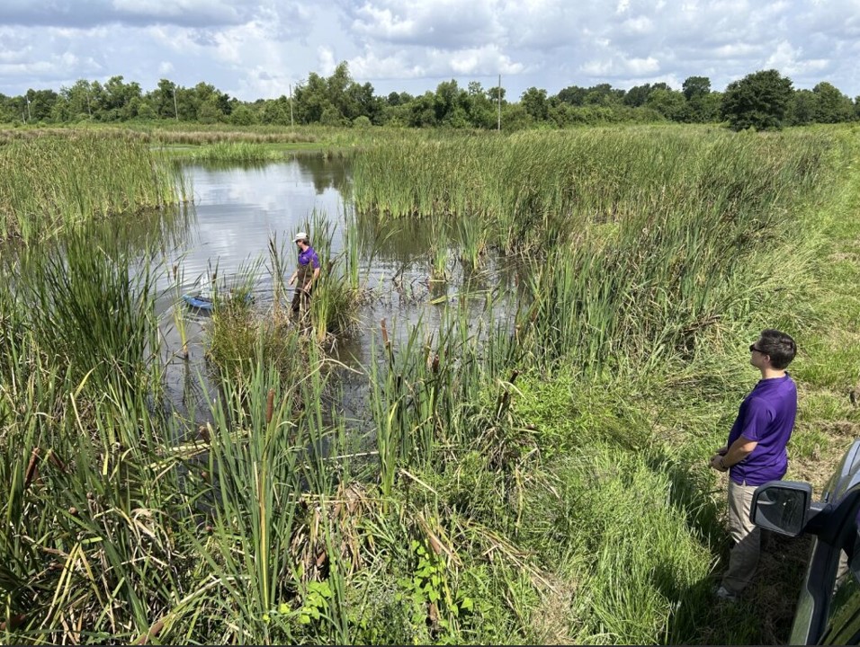 Nick and Mason in the wetland