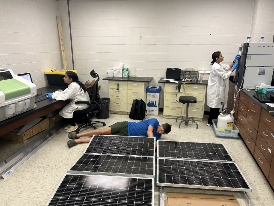 students working in lab