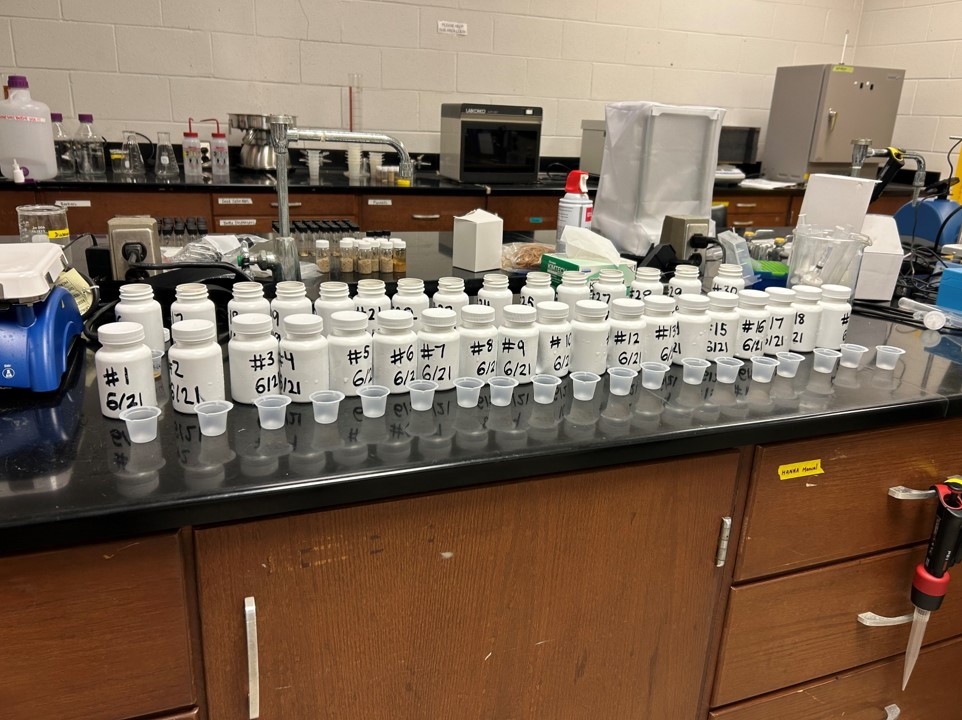 samples lined on lab bench