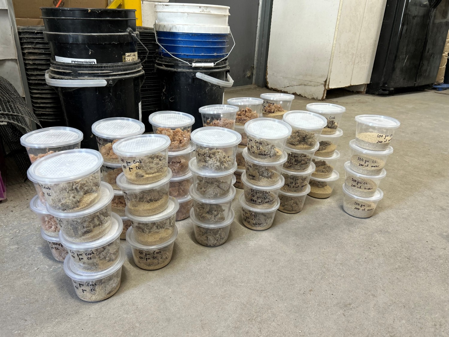 seafood shells mixed in containers