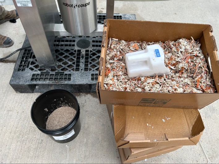 crab shells in bucket