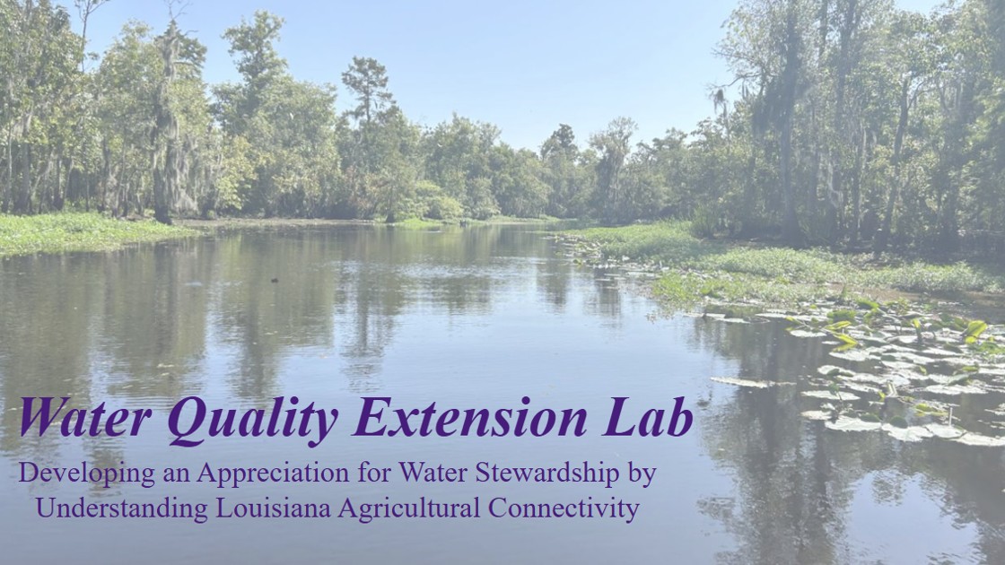 title slide for presentation