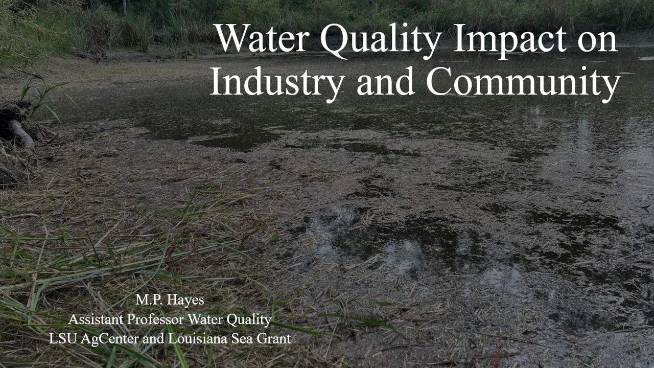 turfgrass presentation slide