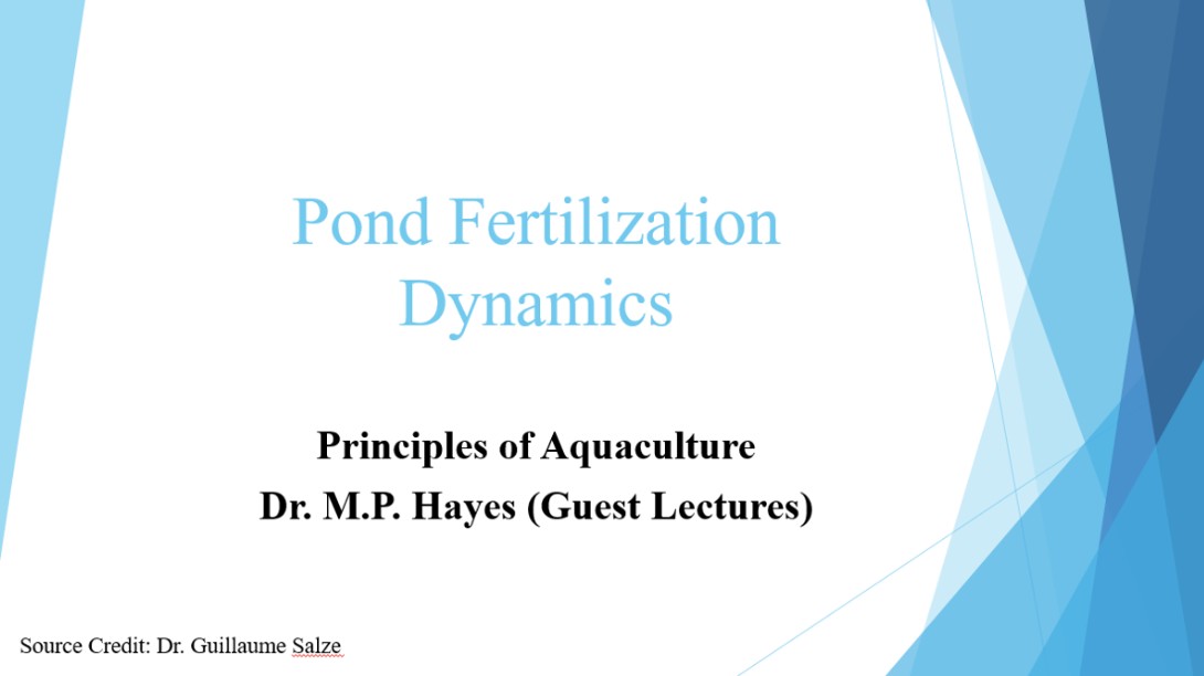 guest lecture slide introduction