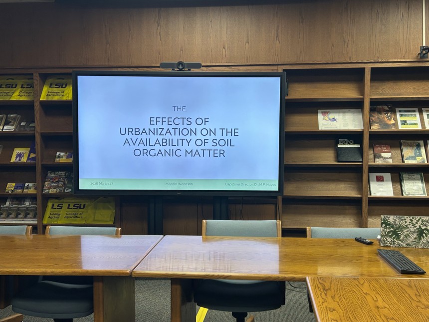 Maddie roject title slide