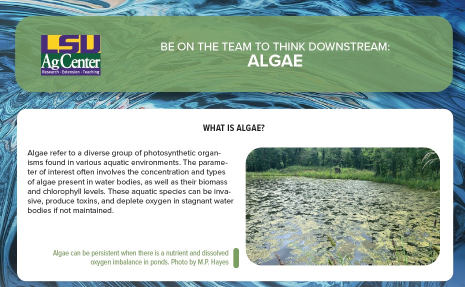 title page for factsheet