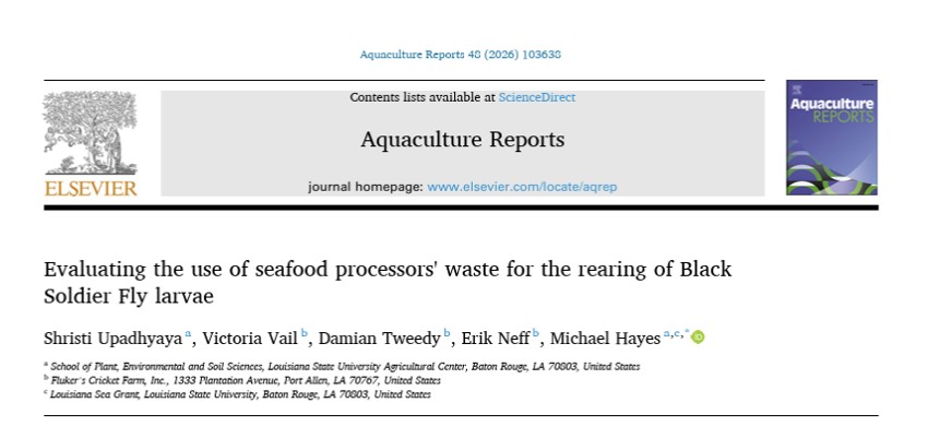 title page for journal article