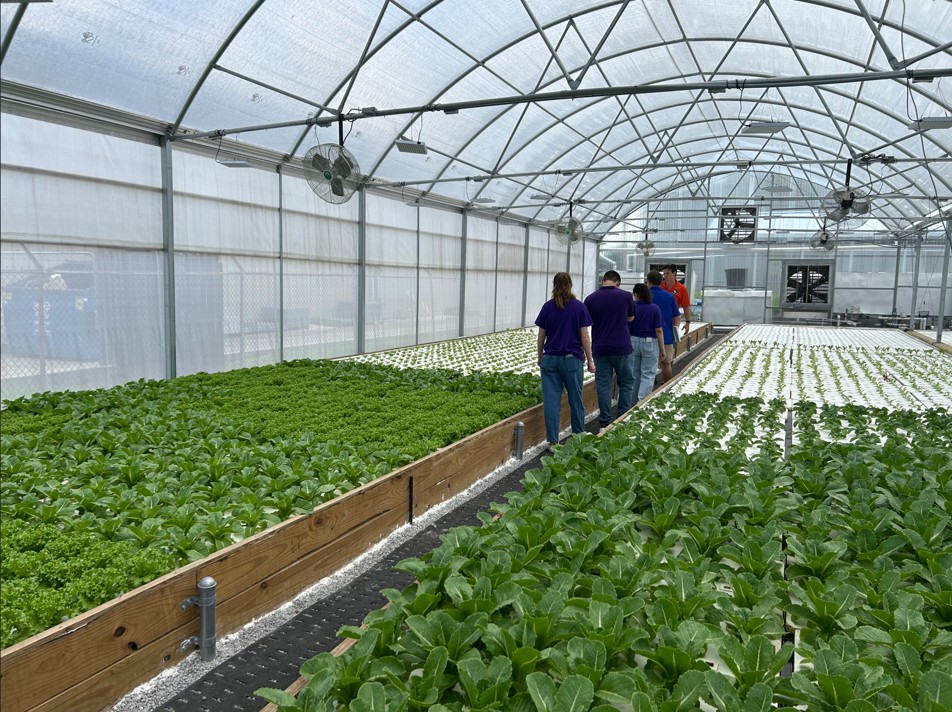 students walking through facility