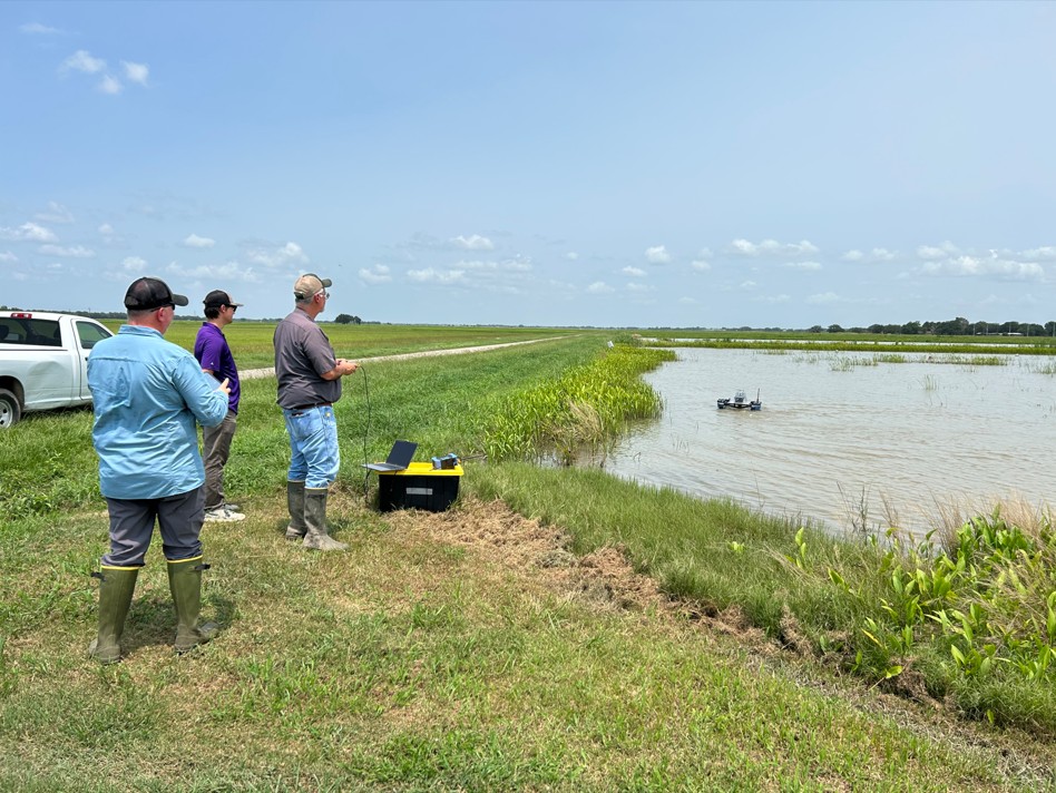 Ducks team driving blue boat