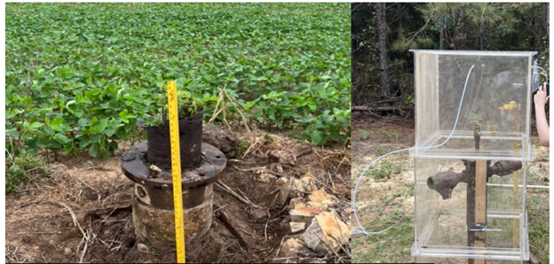 Photo of corroded wellhead at abandoned site; flux chamber for methane measurement on field site