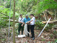 First census of CTFS Manaus plot