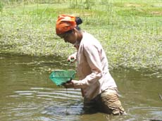 Sandra Galeano working in the field