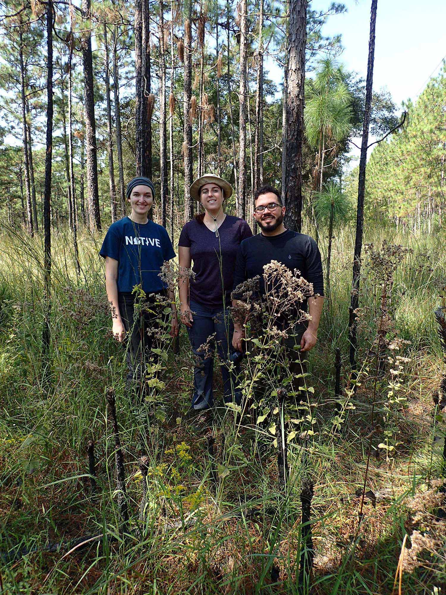 Harms Lab Group - 2 Oct. 2019