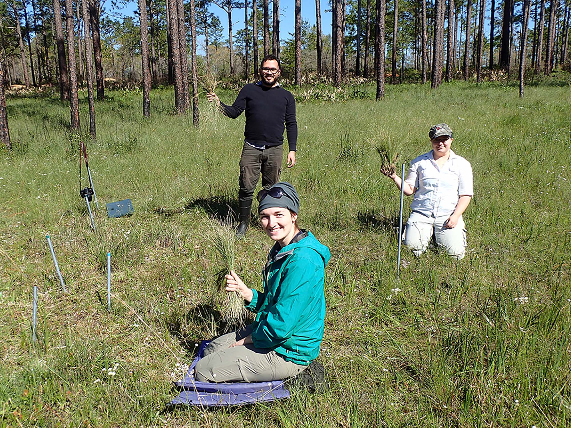 Harms research group at Eglin A.F.B.