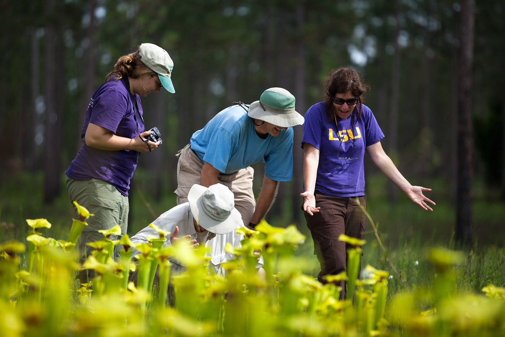 Harms research group; Blackwater, FL