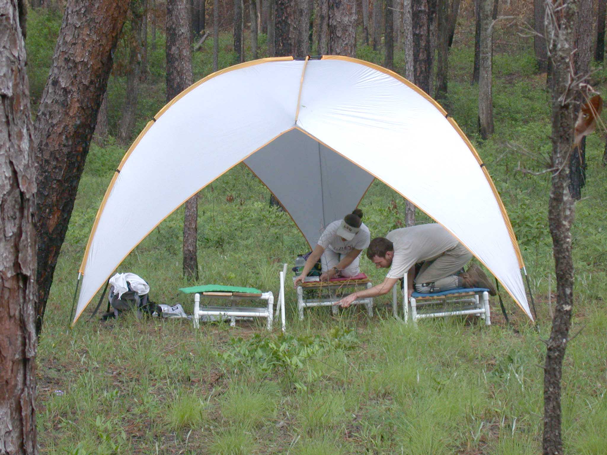 Heather & Jonathan at Camp Whispering Pines