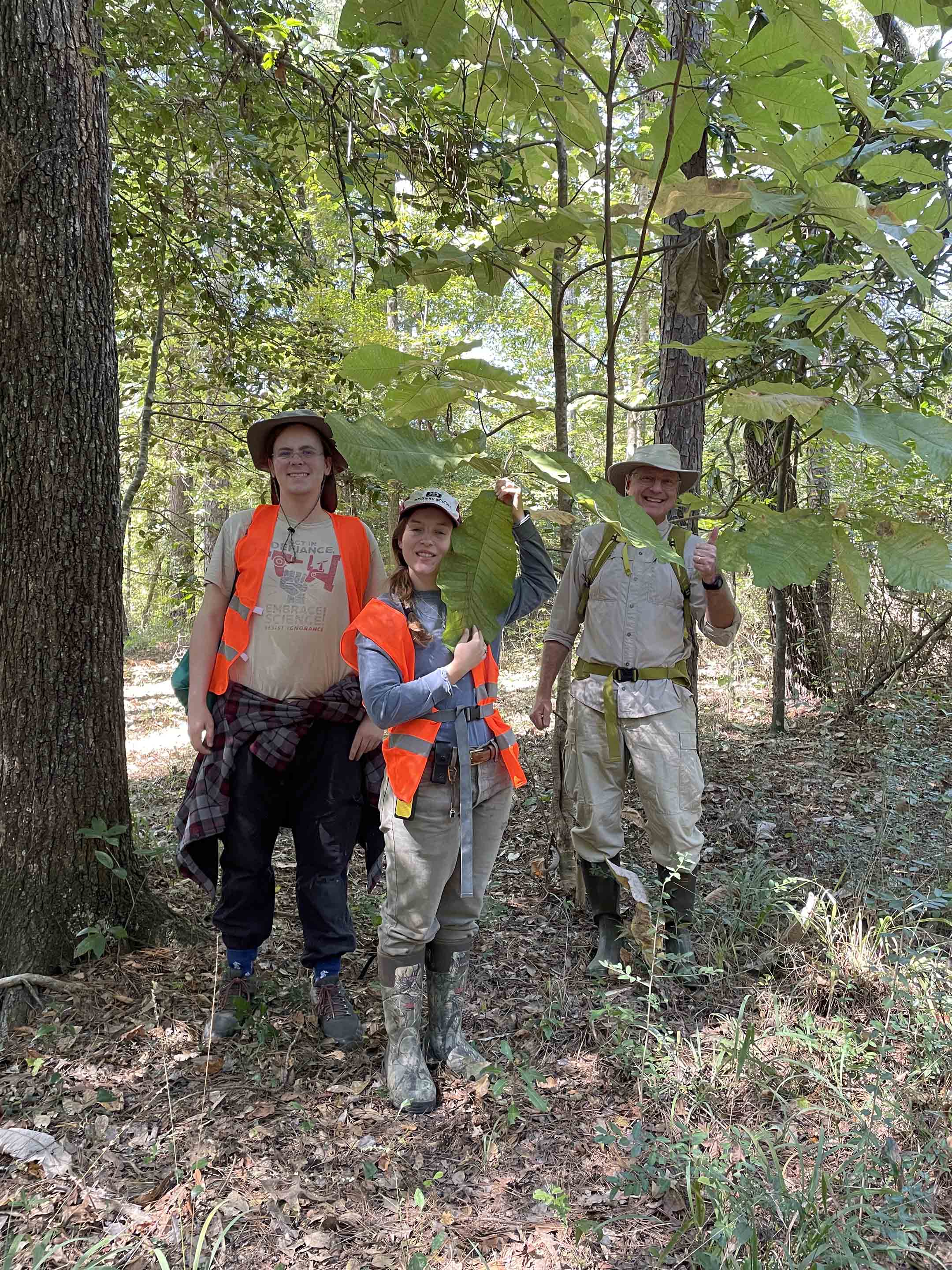 Harms Group at Kisatchie N. F.