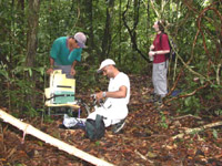 Gigante Peninsula field site, Panama