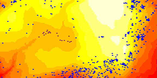 BCI topographic map with 2 species' distributions