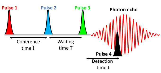 Pulse sequence in 2D IR spectroscopy